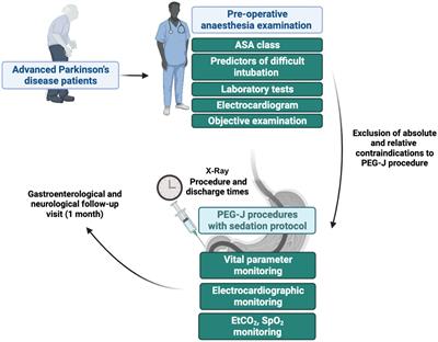Effectiveness and safety of an atropine/midazolam and target controlled infusion propofol-based moderate sedation protocol during percutaneous endoscopic transgastric jejunostomy procedures in Parkinson’s disease: a real-life retrospective observational study